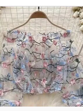 Temu Mesh Embroidered Loose Bubble Sleeved Long Sleeved Lace Shirt xl